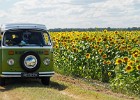 2017-06 - Zomervakantie - Frankrijk en Zwarte Woud